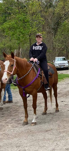 Tourist Attraction «C and L Stables», reviews and photos, 1095 Ives Rd, East Greenwich, RI 02818, USA