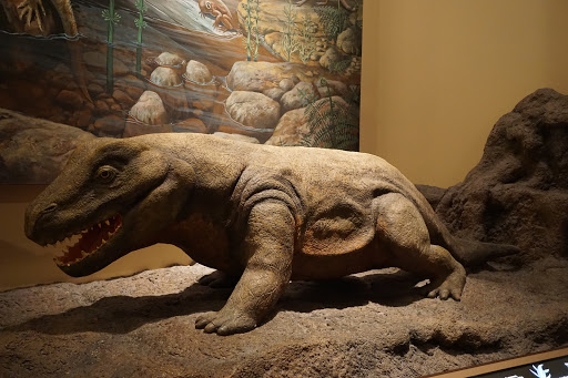 Natural History Museum «Fernbank Museum of Natural History», reviews and photos, 767 Clifton Rd, Atlanta, GA 30307, USA