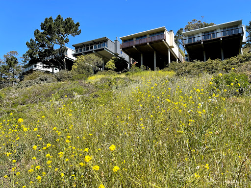 Park «Glen Canyon Park», reviews and photos, Elk St and Chenery St, San Francisco, CA 94127, USA