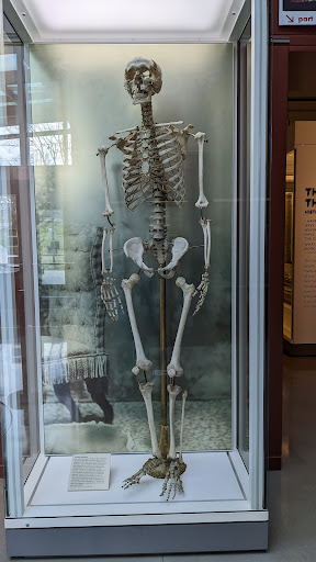 Museum «National Museum of Health and Medicine», reviews and photos, 2500 Linden Ln, Silver Spring, MD 20910, USA