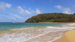 Photo de Moloa'a Beach protégé par des falaises