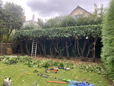 Entreprise THEER Père et Fils Élagage abattage bûcheron Elagueur parc et jardin jardinier paysagiste Service espaces verts à Leuville-sur-Orge