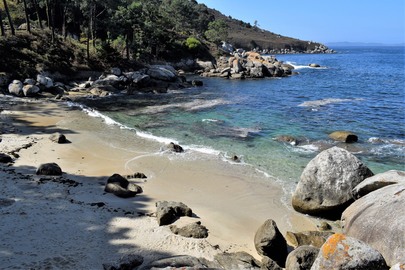 Photo de Pedron Beach situé dans une zone naturelle