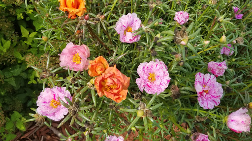 Golf Course «Coulee Golf Bowl», reviews and photos, 100 Green Coulee Rd, Onalaska, WI 54650, USA