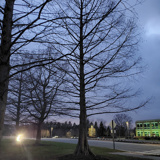 Insurance Agency «GEICO Corporate Office», reviews and photos