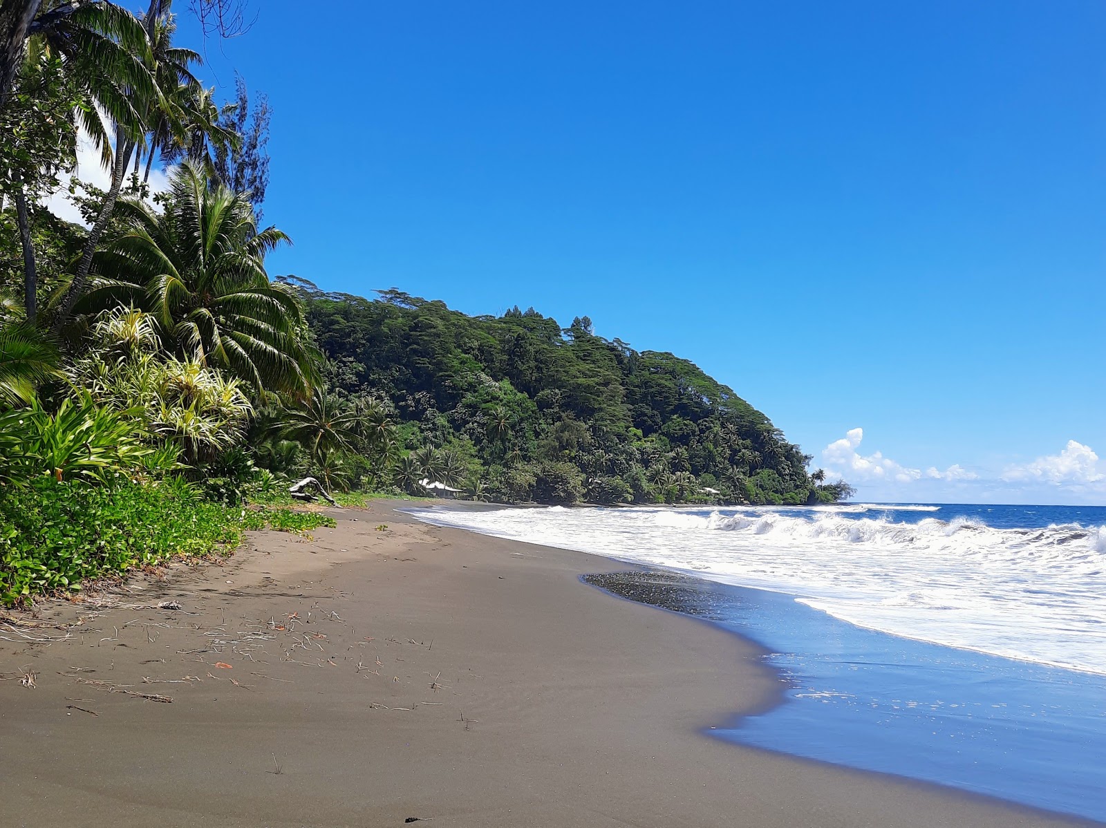 Foto di Plage de Tiarei con una superficie del sabbia fine marrone