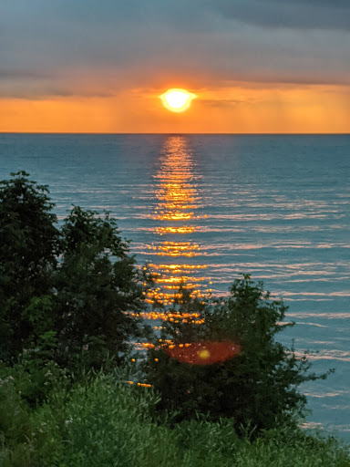 Lake Erie Bluffs (Lake Metroparks) image 8