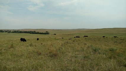Blake Ranch
