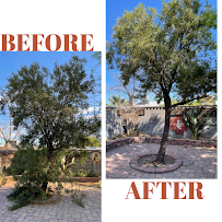 Mesmerizing Garden Service - Photo 6 - Car repair in , North Las Vegas