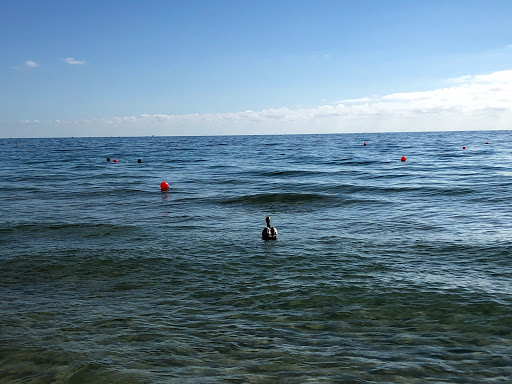 Movie Theater «College Point Multiplex Cinemas», reviews and photos, 2855 Ulmer St, Flushing, NY 11354, USA