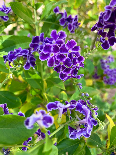 Park «Encanto Park», reviews and photos, 2605 N 15th Ave, Phoenix, AZ 85007, USA