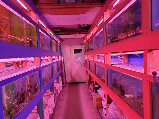 Pet Store «D D Fish & Pets», reviews and photos, 2413 S Fairview St, Santa Ana, CA 92704, USA