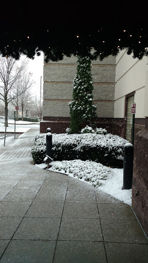 Jeweler «Shane Co.», reviews and photos, 10885 Haynes Bridge Rd, Alpharetta, GA 30022, USA