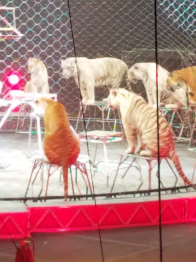 Arena «Rupp Arena», reviews and photos, 430 W Vine St, Lexington, KY 40507, USA