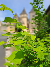 Photos des visiteurs du Restaurant Hôtellerie de l'Abbaye Saint Amand à Coly-Saint-Amand - n°11