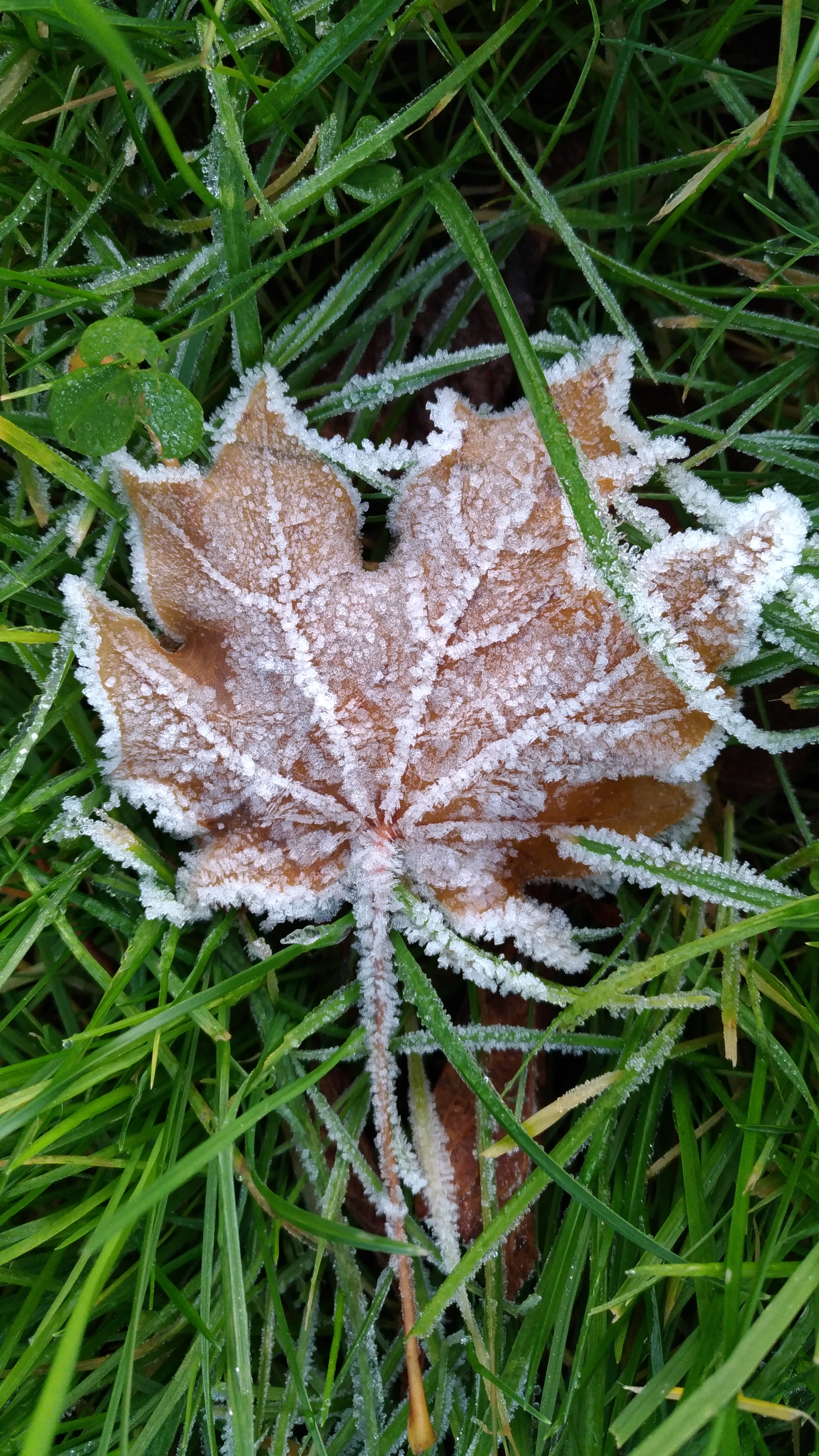Photo n° 21 de l'avis de Chrystelle.e fait le 21/04/2019 à 16:16