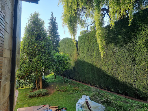 Todo Limpieza en Oviedo, Oviedo