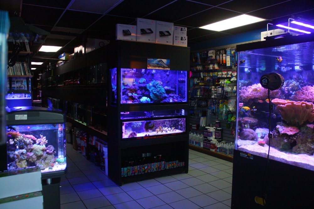 Tropical Island Aquarium Fish Store Long Island