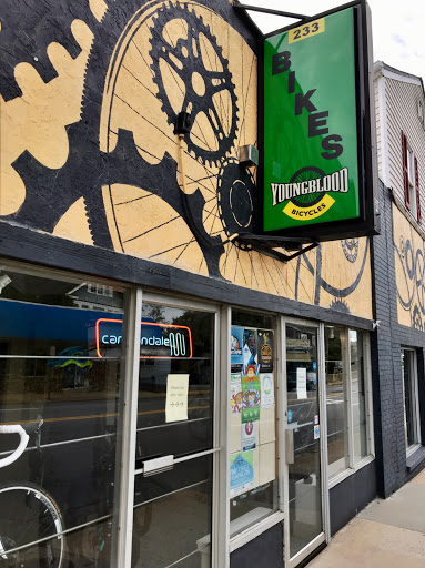 Bicycle Store «Youngblood Bicycles», reviews and photos, 233 Merrimon Ave, Asheville, NC 28801, USA