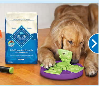 Pet Supply Store «PetSmart», reviews and photos, 4327 Genesee Valley Plaza, Geneseo, NY 14454, USA