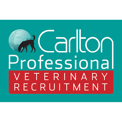Comments and reviews of Carlton Professional Recruitment Ltd