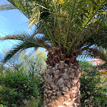 Photo n° 12 de l'avis de DAYA.o fait le 28/06/2020 à 07:14 pour La Villa D'Orient à Marseille