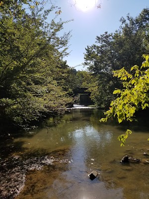 Helena Park - photo 79