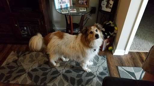 Pet Supply Store «Pet Valu», reviews and photos, 3437 Center Rd, Brunswick, OH 44212, USA