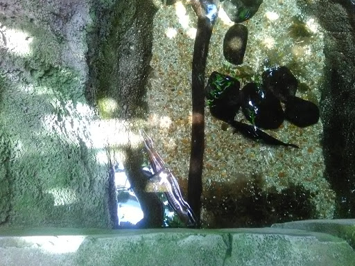 Event Venue «Sterling Banquet Hall #3», reviews and photos, 5701 Bingle Rd #104a, Houston, TX 77092, USA