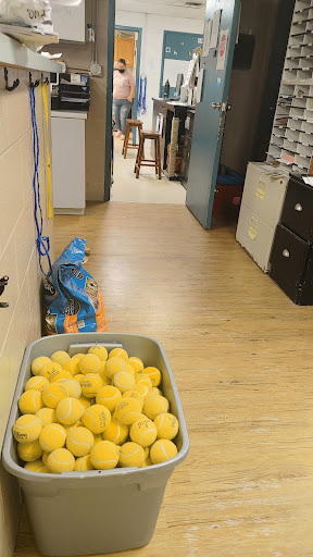 Animal Shelter «South Suburban Humane Society», reviews and photos