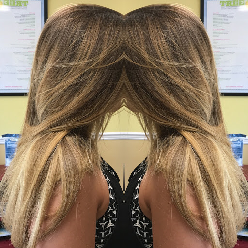 Hair Salon «Lemon Tree, Your Family Hair Salon», reviews and photos, 411 Furrows Rd #3, Holbrook, NY 11741, USA