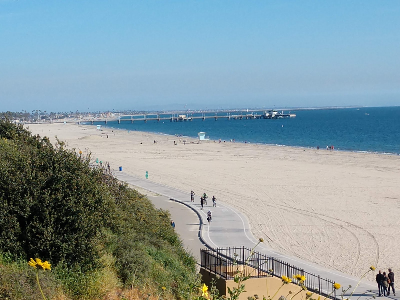 Belmont Beach的照片 带有长直海岸