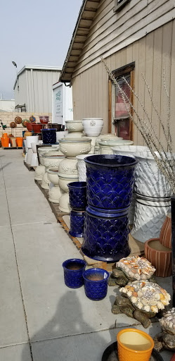 Florist «Plant Safari», reviews and photos, 653 N Central Ave, Upland, CA 91786, USA