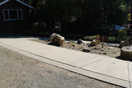 National Forest «Petrified Forest», reviews and photos