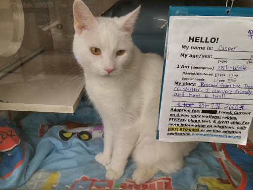 Pet Supply Store «Petco Animal Supplies», reviews and photos, 195 E 12300 S, Draper, UT 84020, USA