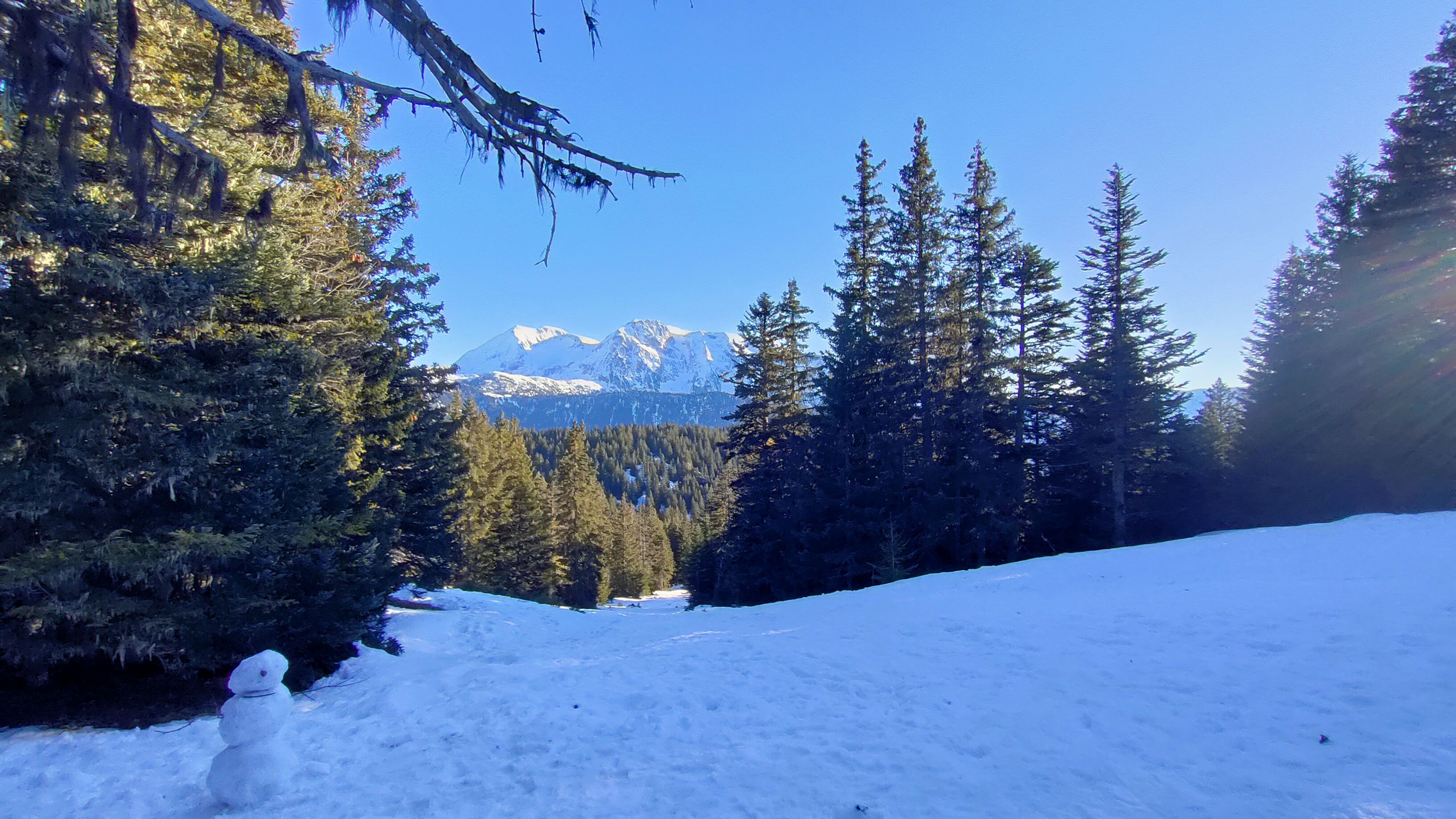 Photo n° 1 de l'avis de SERY-PICARD.d fait le 27/01/2024 à 08:44