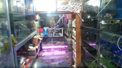 Risma Aquarium