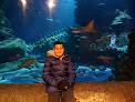 SEA LIFE Centre London Aquarium