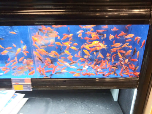 Pet Supply Store «PetSmart», reviews and photos, 1954 Santa Rosa Ave, Santa Rosa, CA 95407, USA