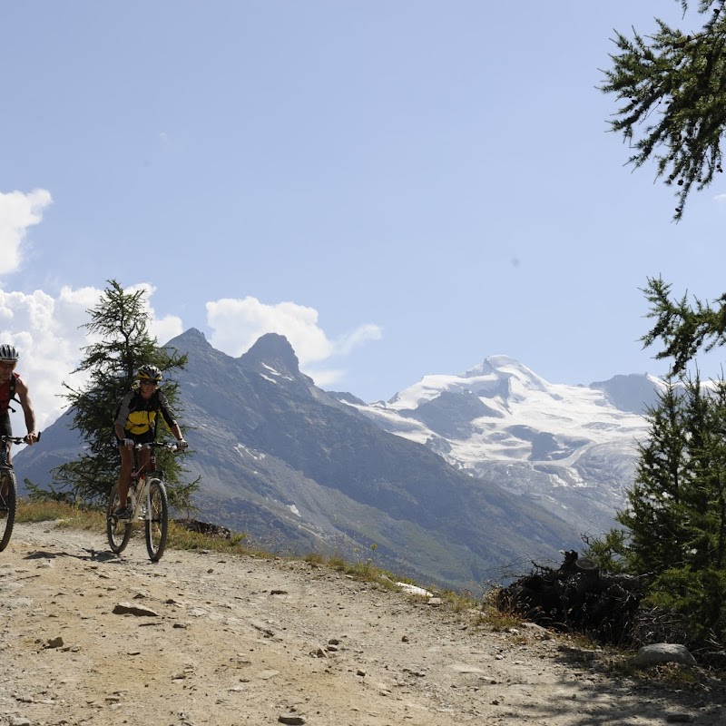 Biketrail Hohsaas