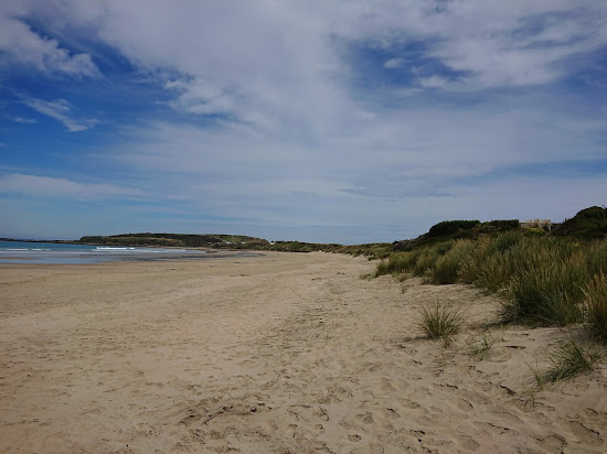 Curio Bay