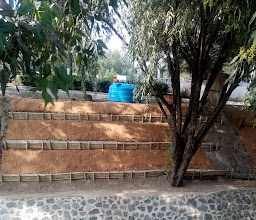 Mariana Rodríguez Del Toro Park photo