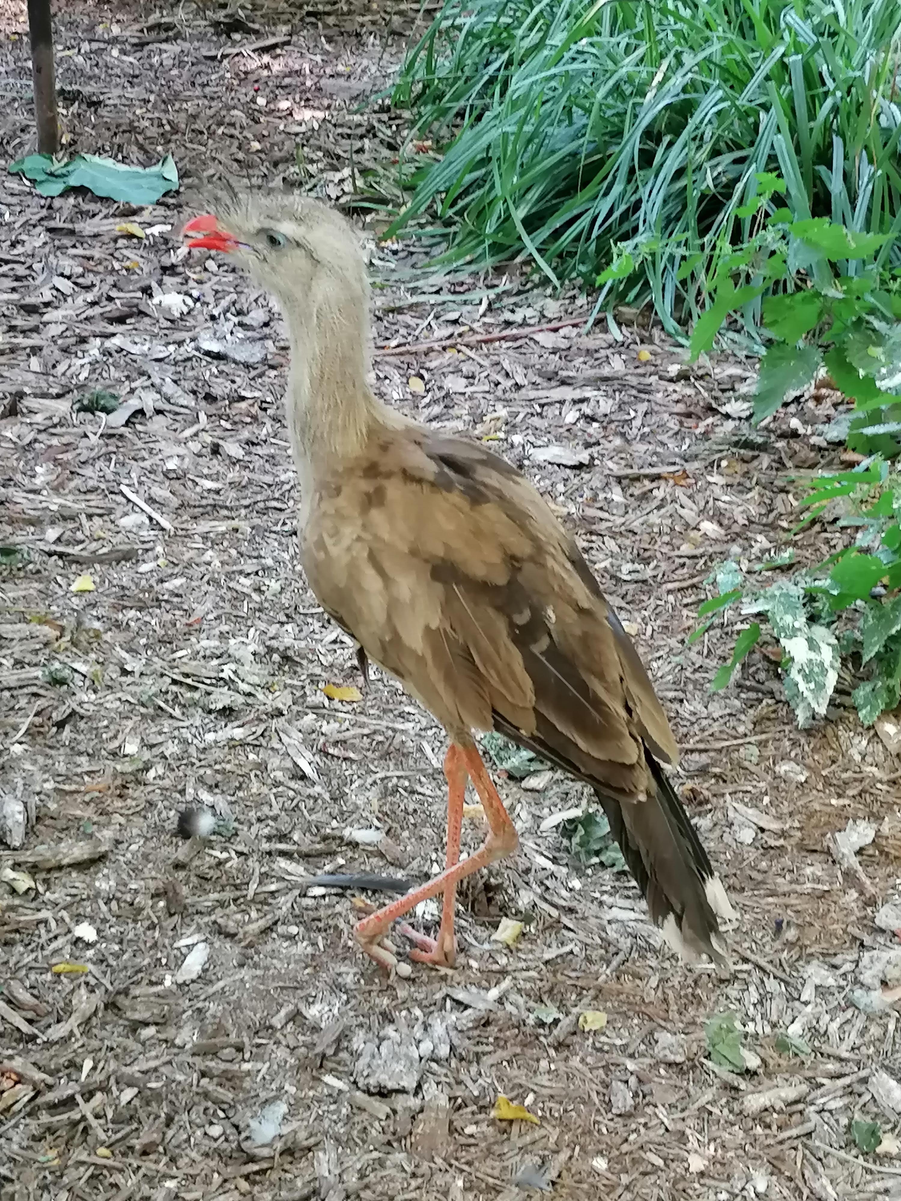 Photo n° 1 de l'avis de Mimicracra. fait le 13/08/2022 à 07:50