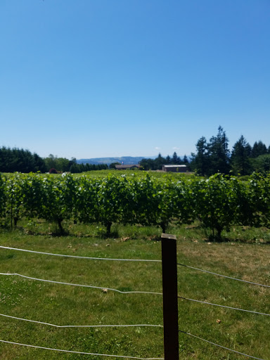 Vineyard «Archer Vineyard, Winery & Tasting Room», reviews and photos, 32230 NE Old Parrett Mountain Rd, Newberg, OR 97132, USA