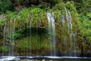Mossbrae Falls image