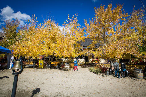 Tourist Attraction «Virginia City Depot», reviews and photos