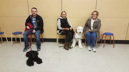 Pet Supply Store «PetSmart», reviews and photos, 1042 Fairplain Dr, Benton Harbor, MI 49022, USA