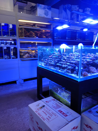 Tropical Fish Store «Elegant Reef - Tropical Fish Studio», reviews and photos, 301 W Nakoma Dr, San Antonio, TX 78216, USA