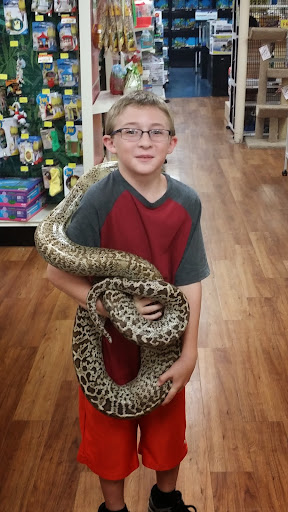 Pet Supply Store «Pet Supermarket», reviews and photos, 2924 13th St, St Cloud, FL 34769, USA