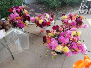 Shattuck Park - photo 33